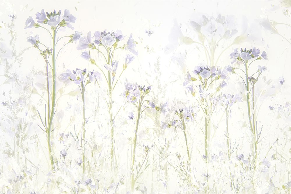 Spring at home art print by Nel Talen for $57.95 CAD