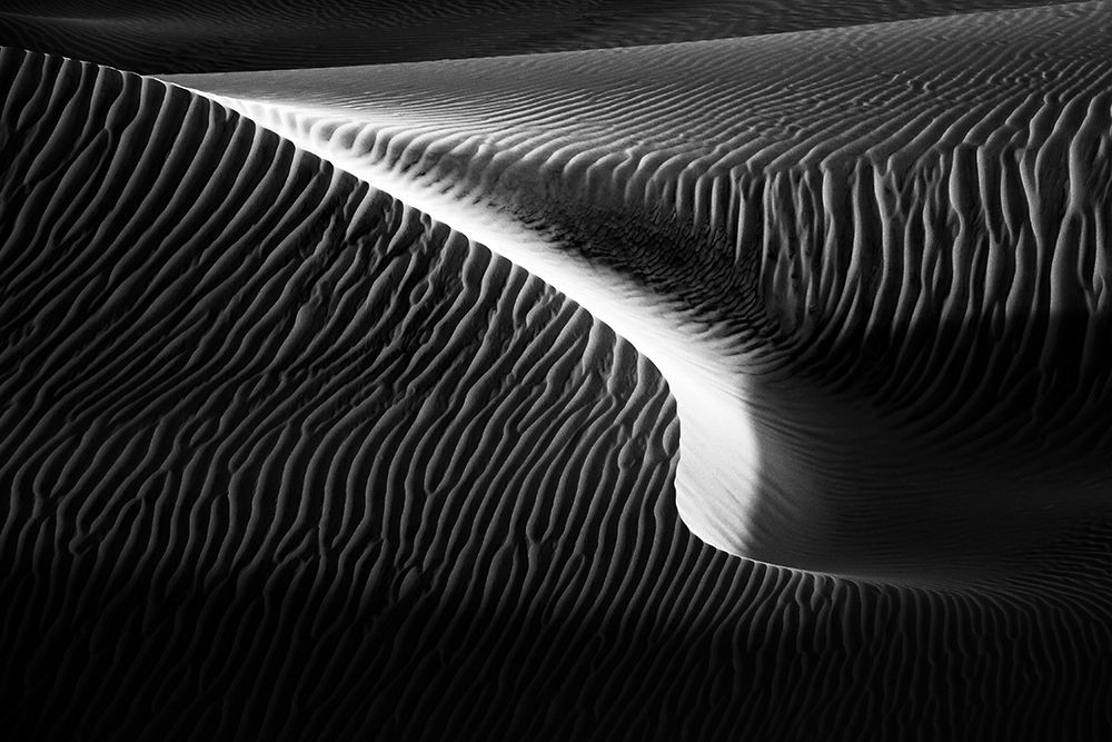 Untitled art print by Mohammadreza Momeni for $57.95 CAD