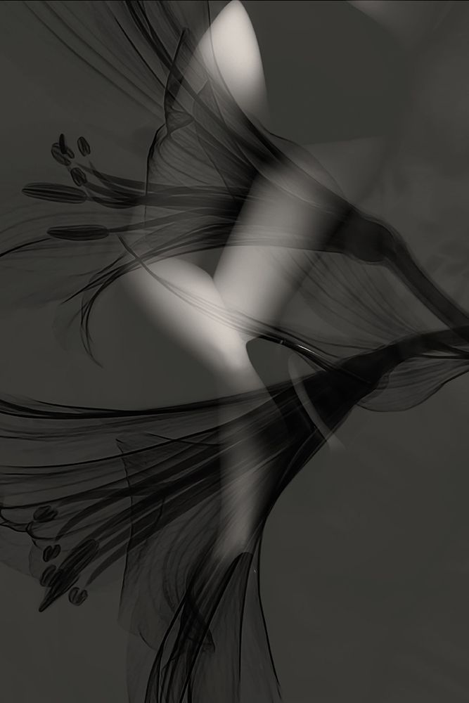 DREAMS art print by Erik Schottstaedt for $57.95 CAD