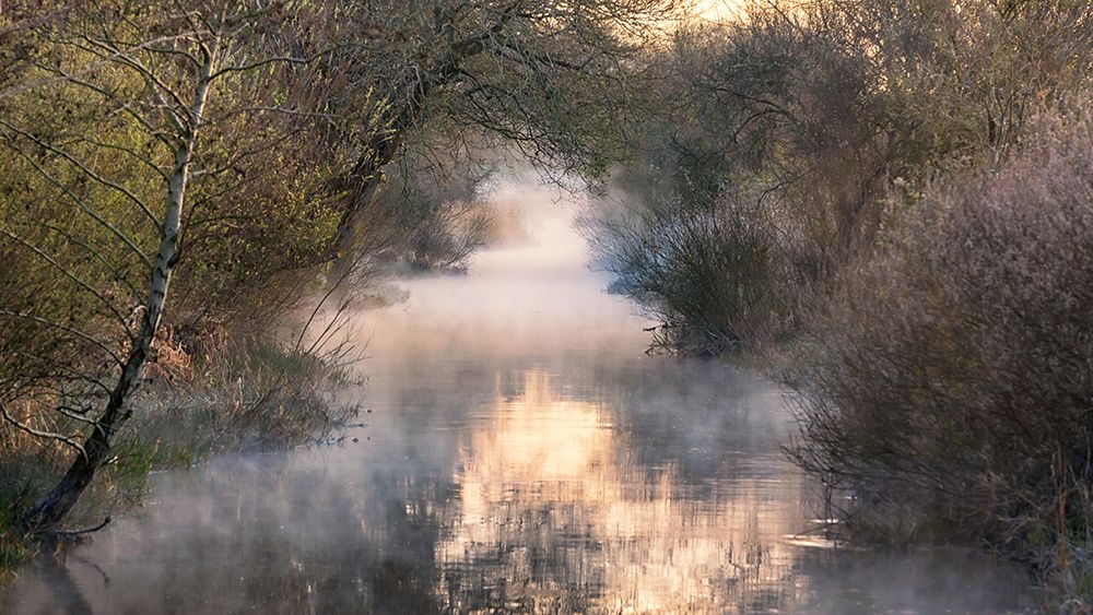 Into the fog. art print by Leif Londal for $57.95 CAD