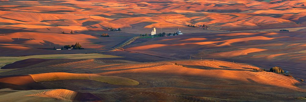 Golden Palouse art print by John Fan for $57.95 CAD