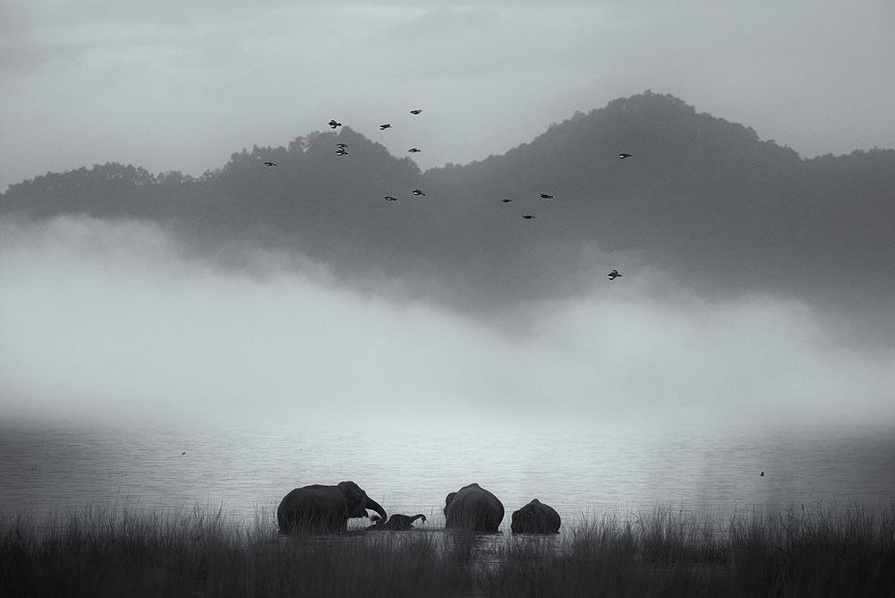 misty moments art print by Swapnil for $57.95 CAD