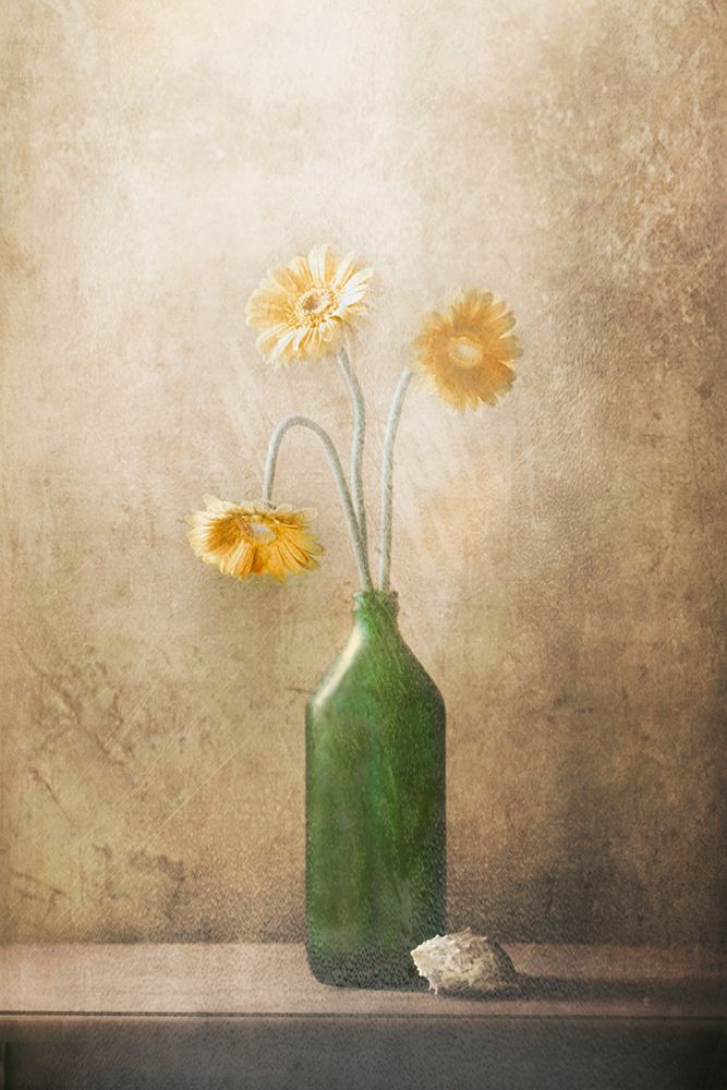 Daisies art print by Delphine Devos for $57.95 CAD