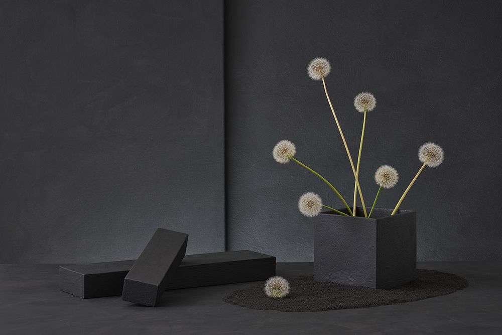Dandelion art print by Christophe Verot for $57.95 CAD