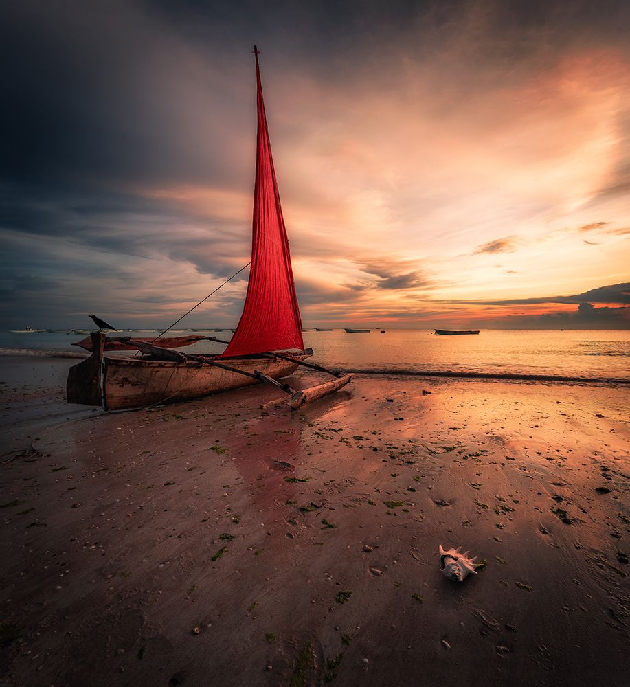 Zanzibar boat art print by Jeni Madjarova for $57.95 CAD