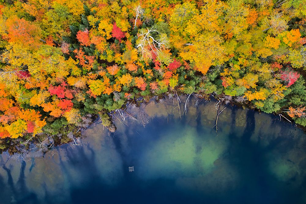 Autumn Pond art print by John Fan for $57.95 CAD