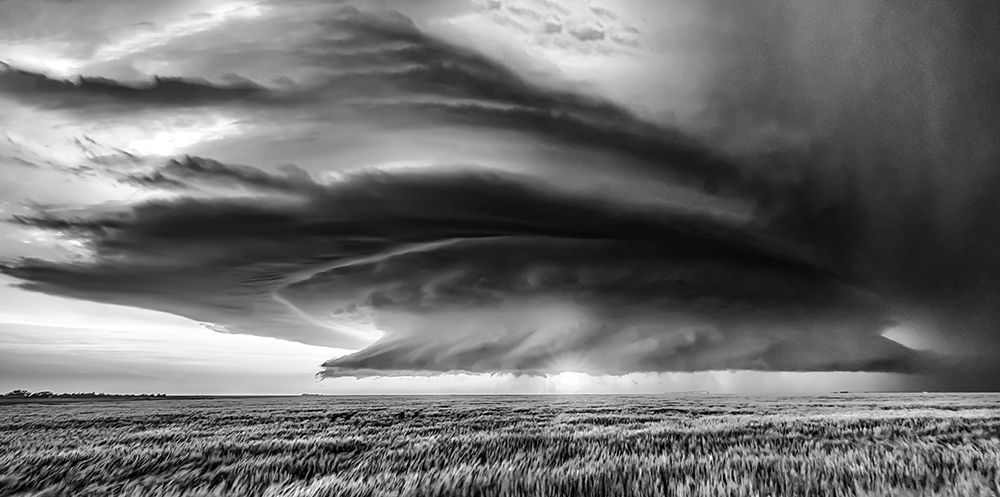 Kansas art print by Rob Darby for $57.95 CAD