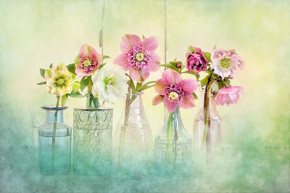 Springtime art print by Jacky Parker for $57.95 CAD