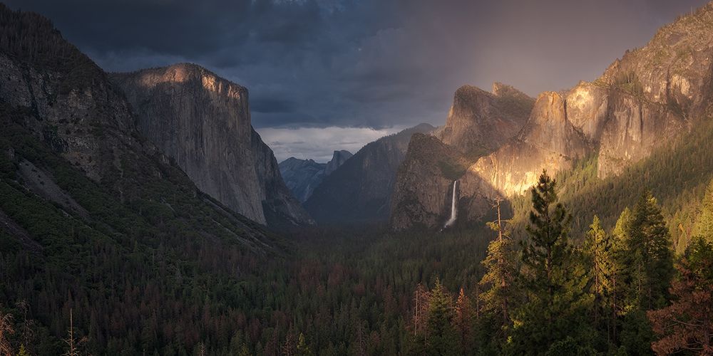 Yosemite art print by Cesar Alvarez Osorio for $57.95 CAD