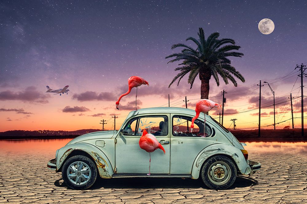 Flamingos Ate My Car art print by Christian Marcel for $57.95 CAD