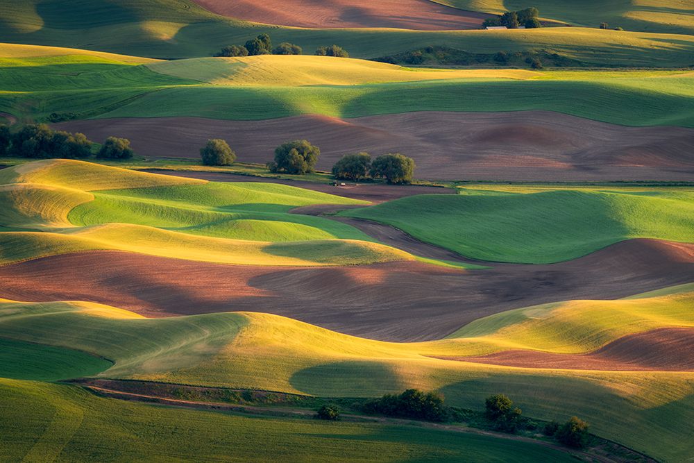 Colorful Palouse art print by Gerald Macua for $57.95 CAD