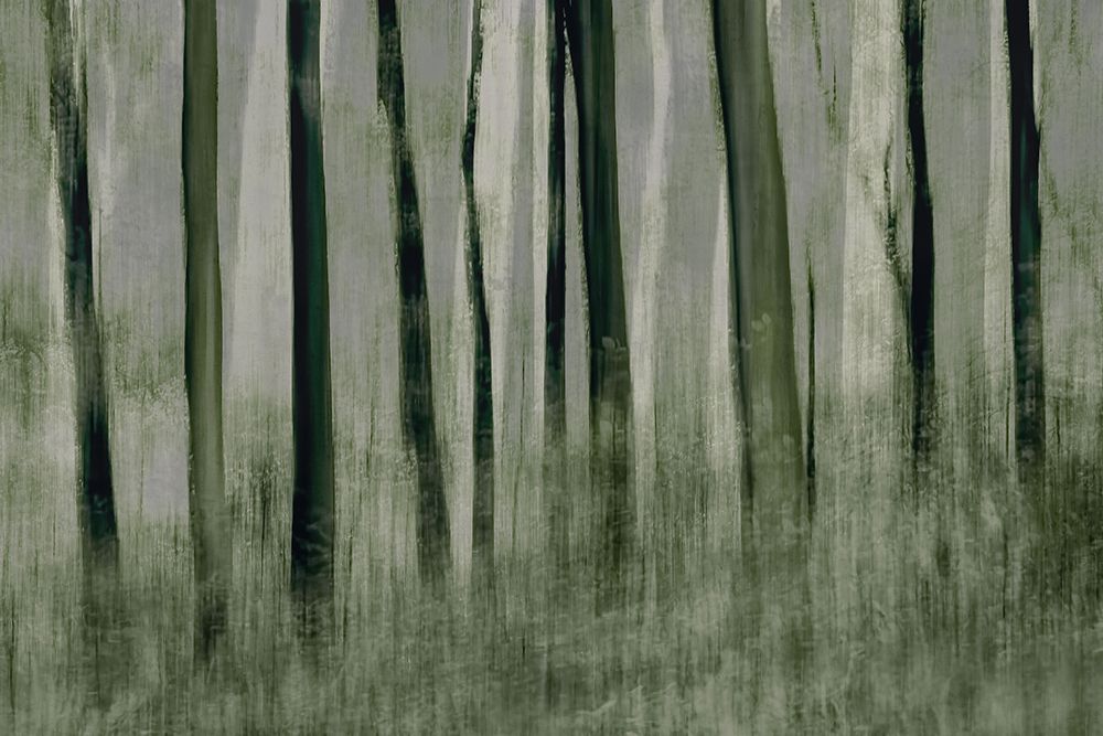 Trees In Motion art print by Nel Talen for $57.95 CAD