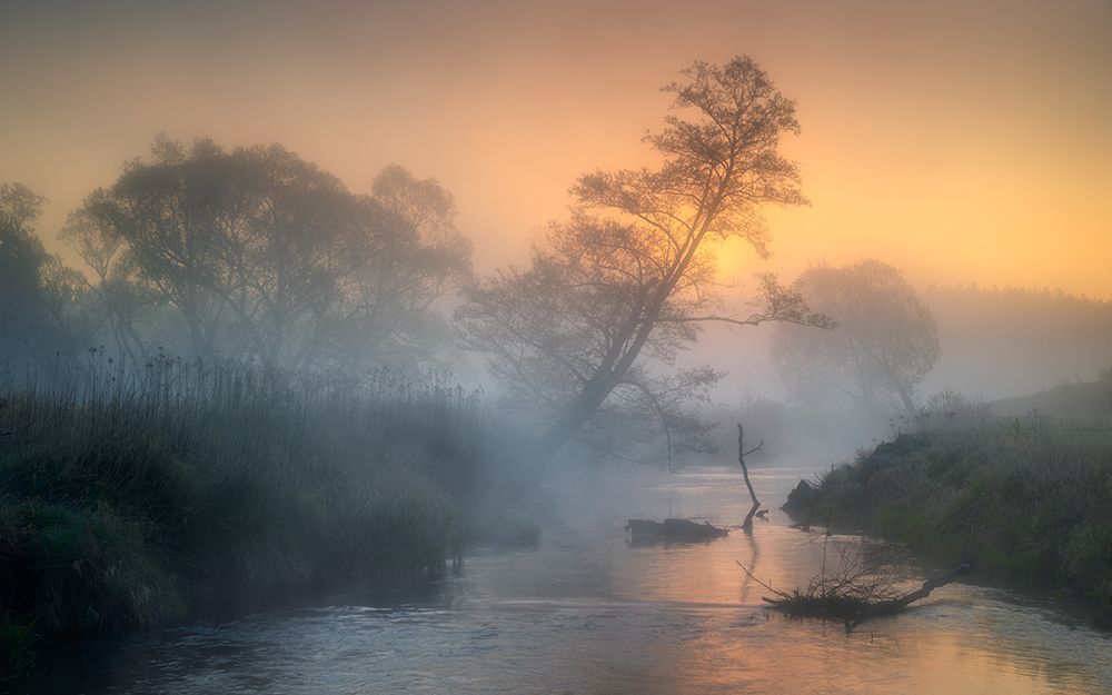 Misty river art print by Tomasz Rojek for $57.95 CAD