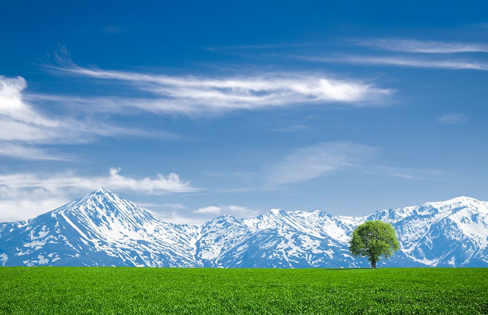 Luboten art print by Bess Hamiti for $57.95 CAD