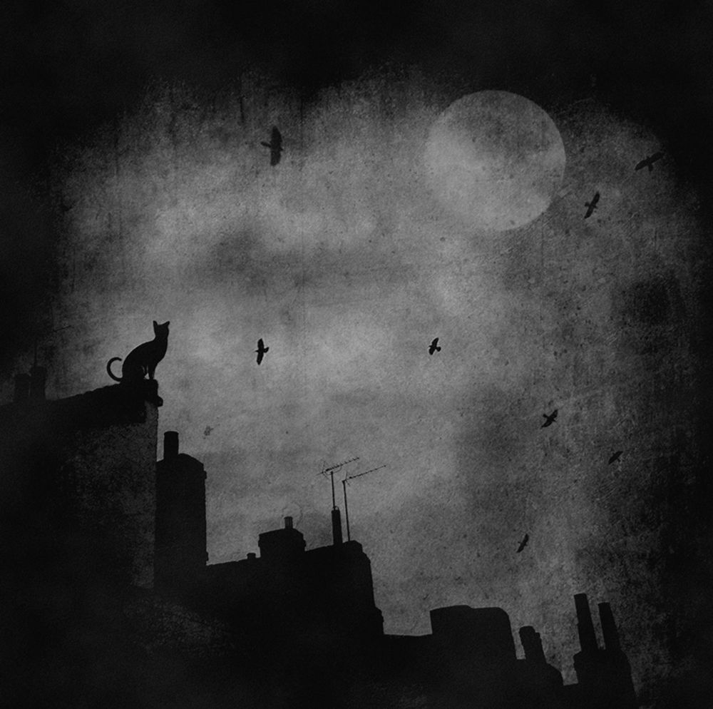 Stories from the Roof... art print by Robert Fabrowski for $57.95 CAD