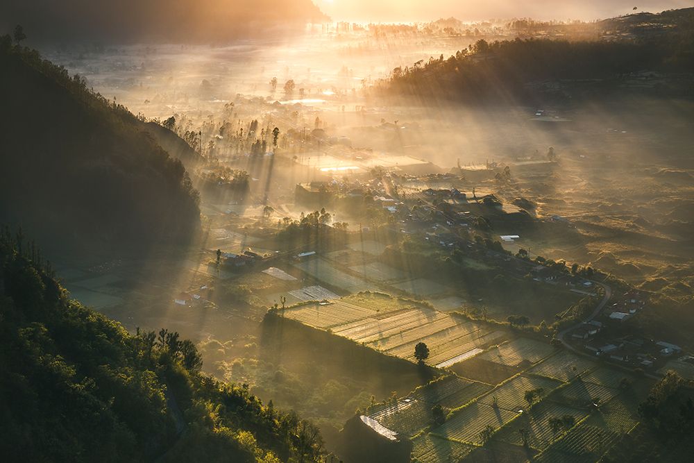 The Valley art print by Cuma Cevik for $57.95 CAD