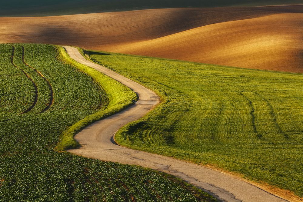 My path art print by Tomasz Rojek for $57.95 CAD