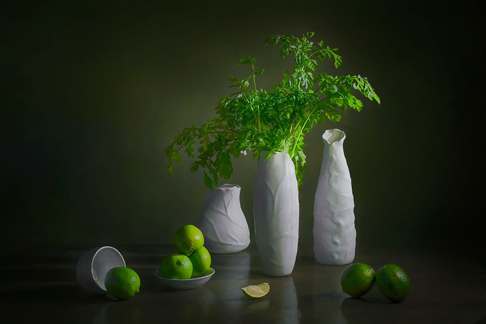 Cilantro And Lime art print by Lydia Jacobs for $57.95 CAD