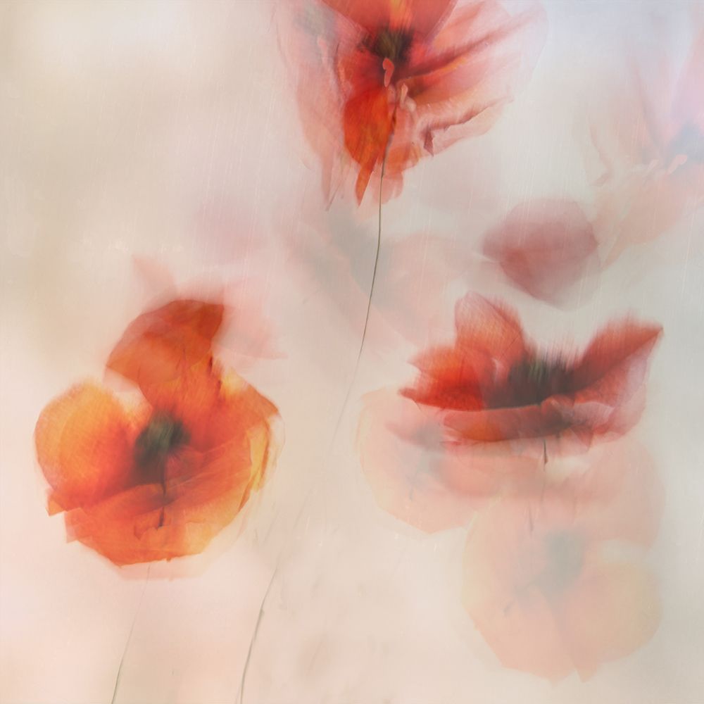 Painted Poppies art print by Nel Talen for $57.95 CAD