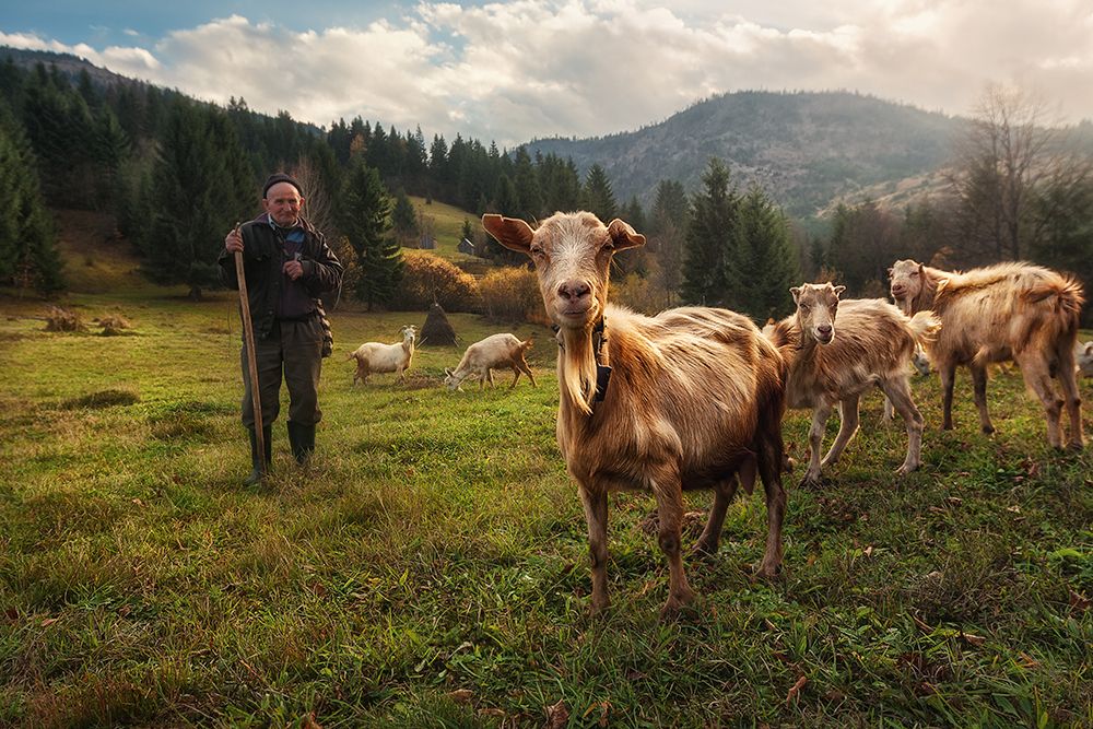 A Day in the Carpathian Mountains art print by Felipe Souto for $57.95 CAD