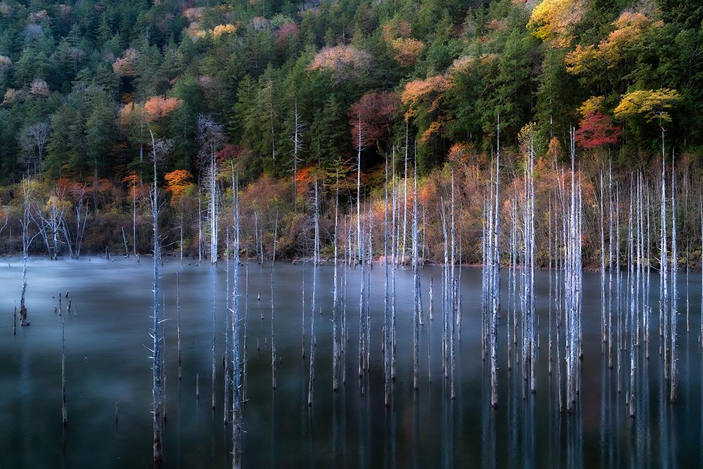 Natural Lake Autumn art print by Takeshi Mitamura for $57.95 CAD