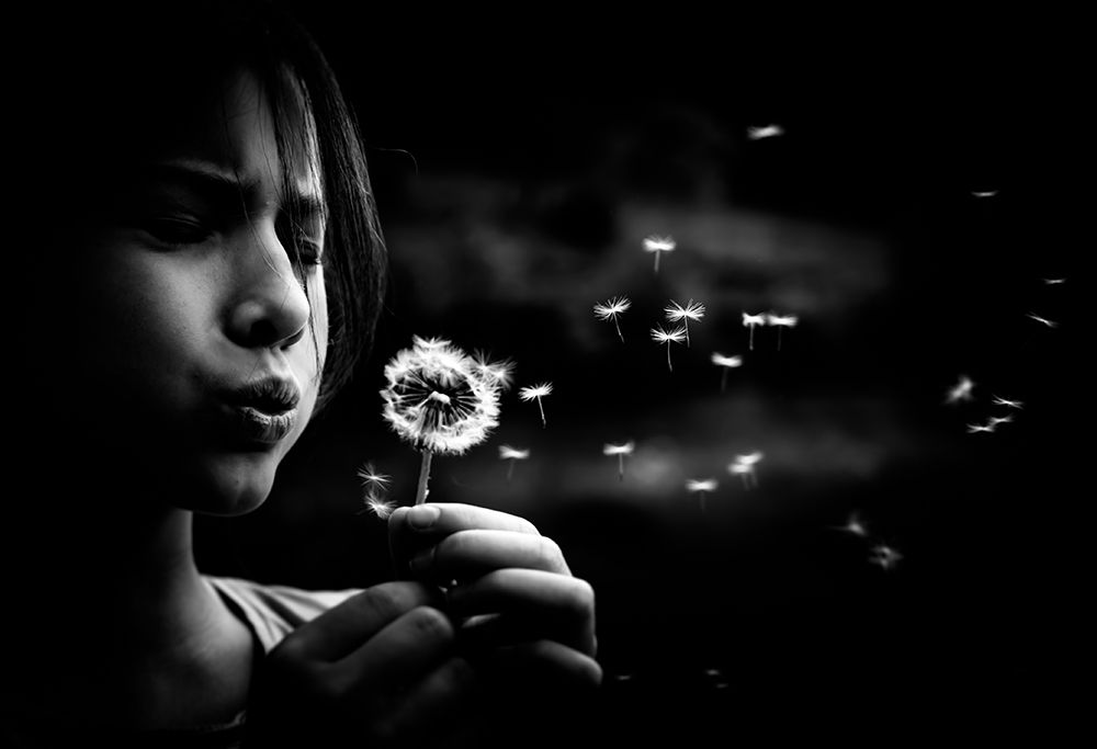 Dandelion in the air art print by Stephanie Kleimann for $57.95 CAD