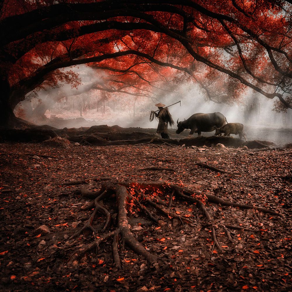 Ancient Autumn ... art print by Ahmed Abdulazim for $57.95 CAD