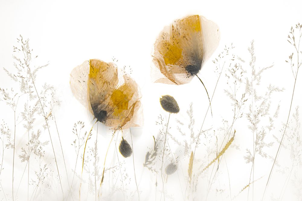 Subtle... art print by Nel Talen for $57.95 CAD