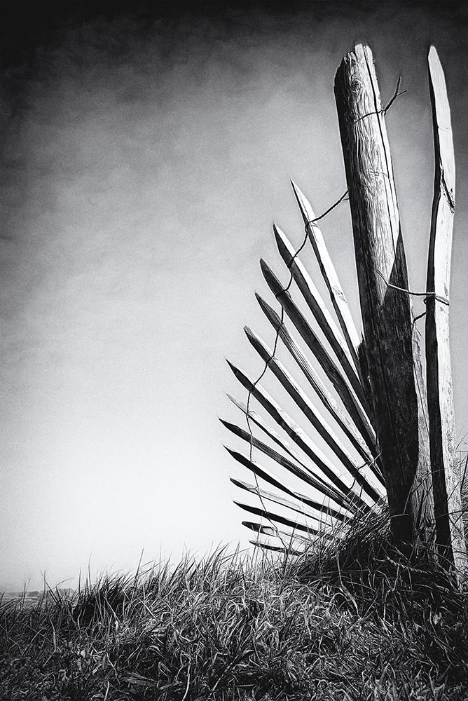 No (Of)Fence In The Dunes art print by Bruno Flour for $57.95 CAD