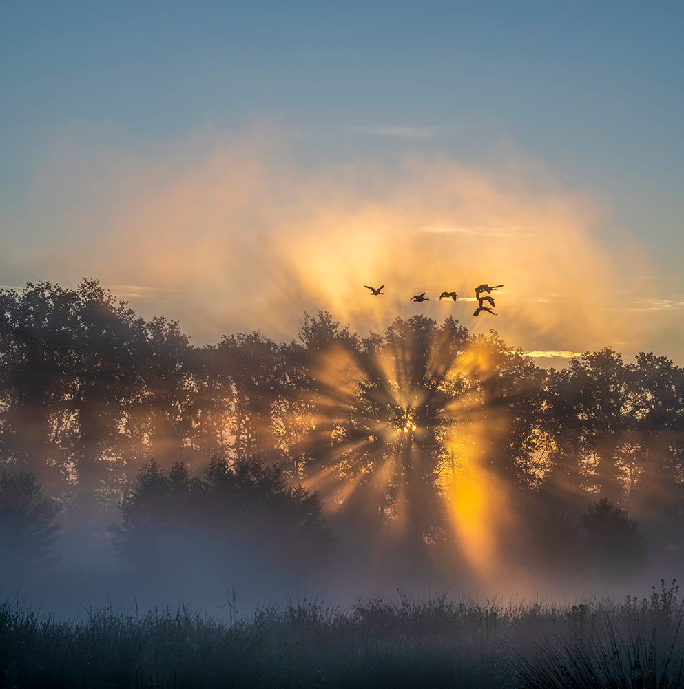 the Netherlands in the early morning art print by Chris Coenders for $57.95 CAD