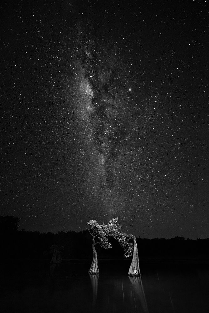 Dancing with milky way art print by Vincent Lim for $57.95 CAD