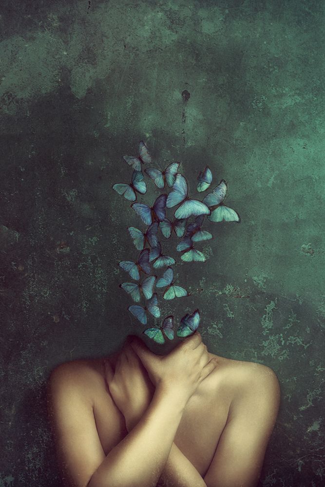 In My Head Butterflies art print by Sima Bivolarska for $57.95 CAD