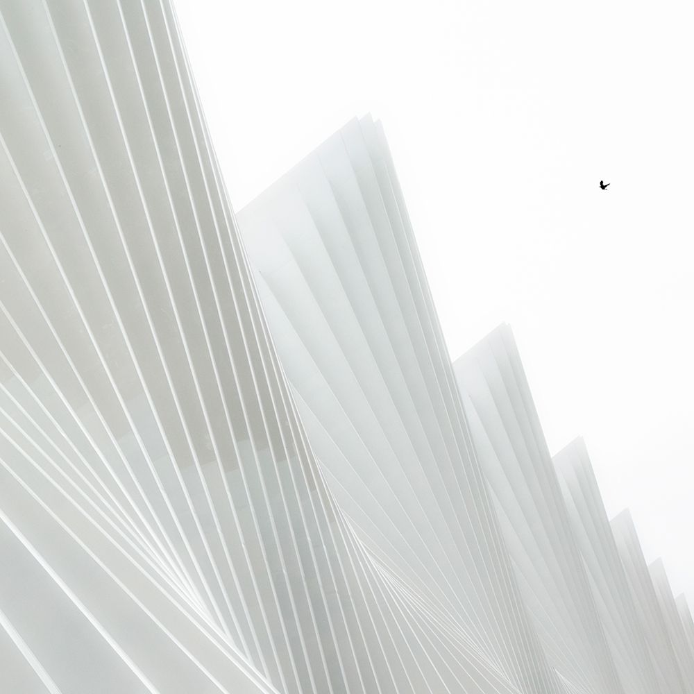 VeleSails art print by Massimo Della Latta for $57.95 CAD
