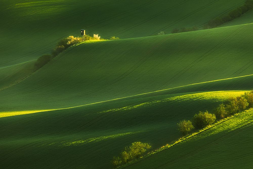 Fields of green art print by Tomasz Rojek for $57.95 CAD