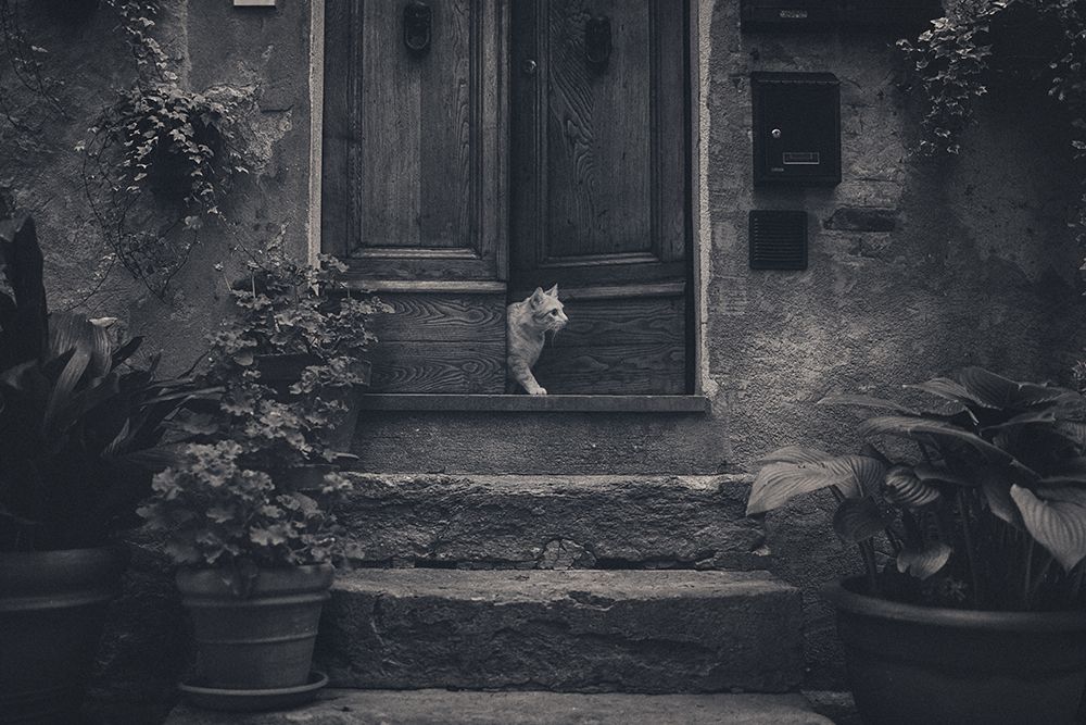 awaiting guests art print by Rostovskiy Anton for $57.95 CAD