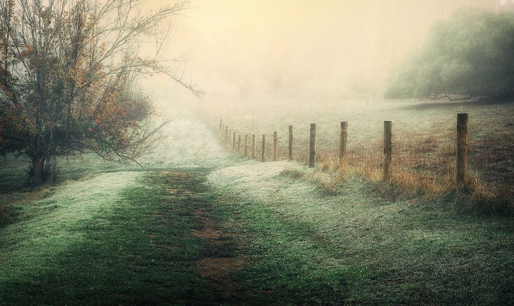 Fading away art print by Anita Underwood Photography for $57.95 CAD