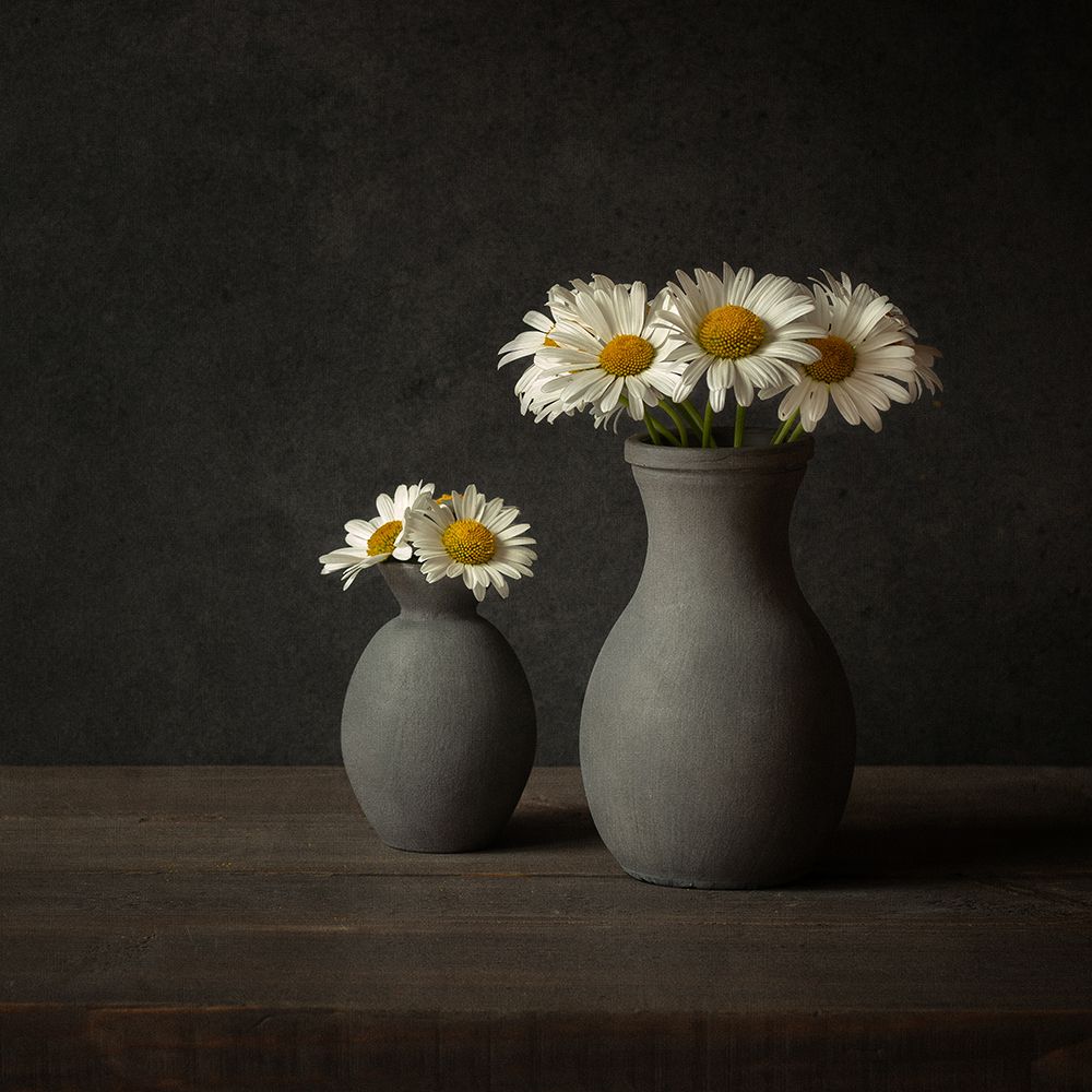 Daisies art print by Ytje Veenstra for $57.95 CAD