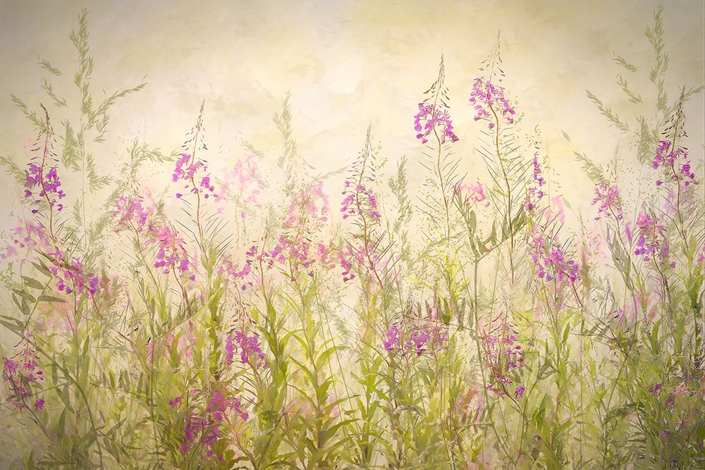 Summerfeeling art print by Nel Talen for $57.95 CAD
