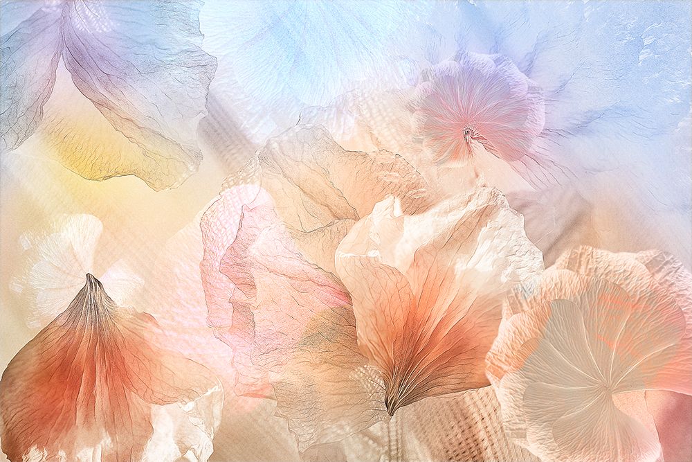 Ethereal Flowers art print by Ludmila Shumilova for $57.95 CAD