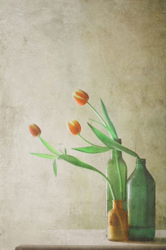 Three Tulips art print by Delphine Devos for $57.95 CAD