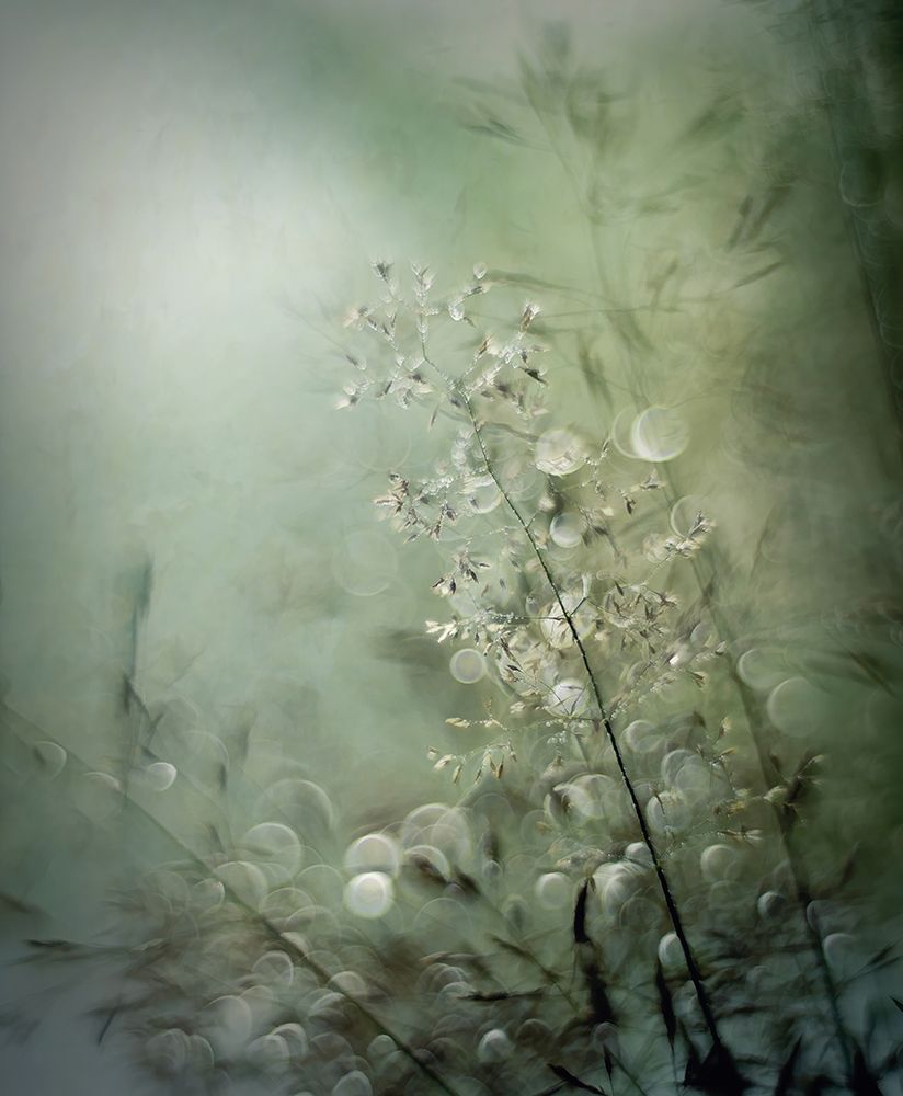 Grasses art print by Nel Talen for $57.95 CAD
