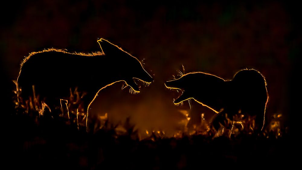 qSee you againq art print by Siyu and Wei for $57.95 CAD