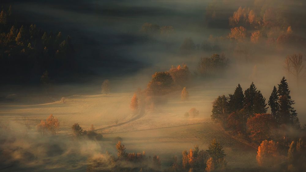 The Last Breath of Autumn art print by Izabela Laszewska-Mitrega for $57.95 CAD