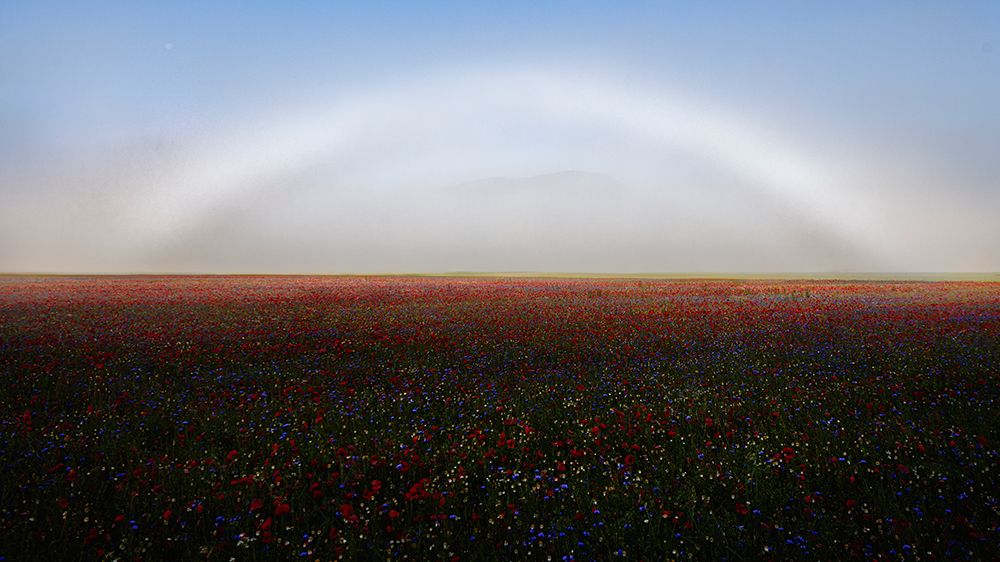 Fogbow art print by Roberto Marchegiani for $57.95 CAD