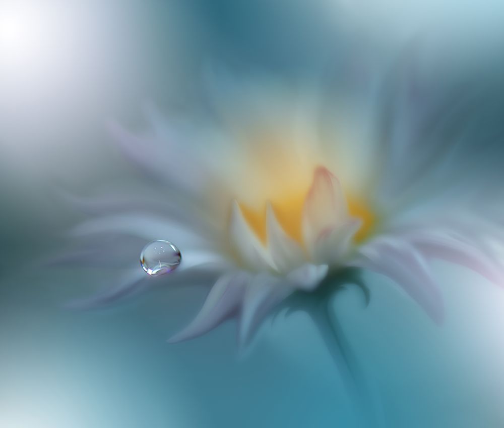 Memories of Sea..II art print by Juliana Nan for $57.95 CAD