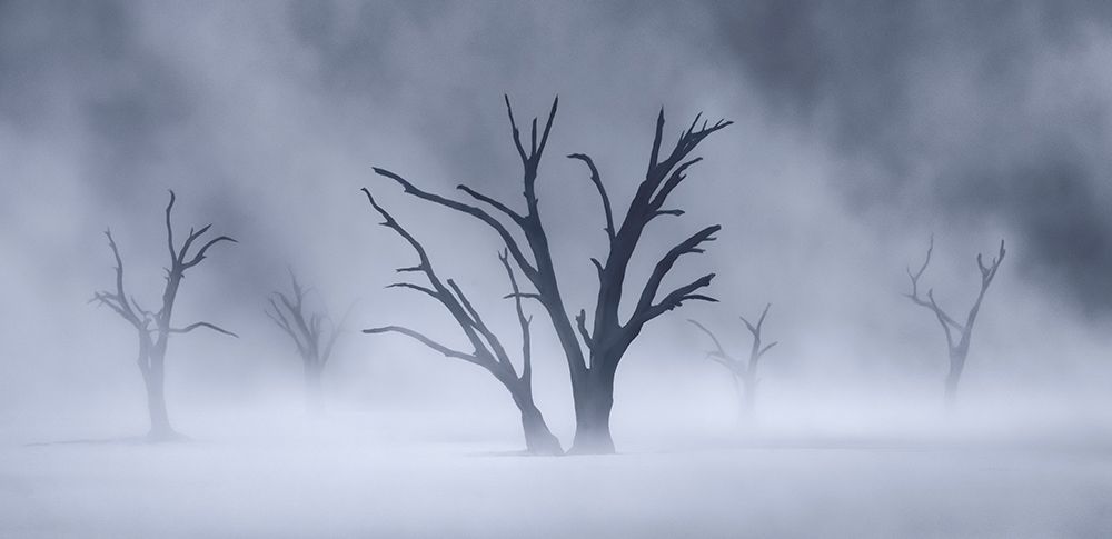 Limbo art print by Ryan Dyar for $57.95 CAD