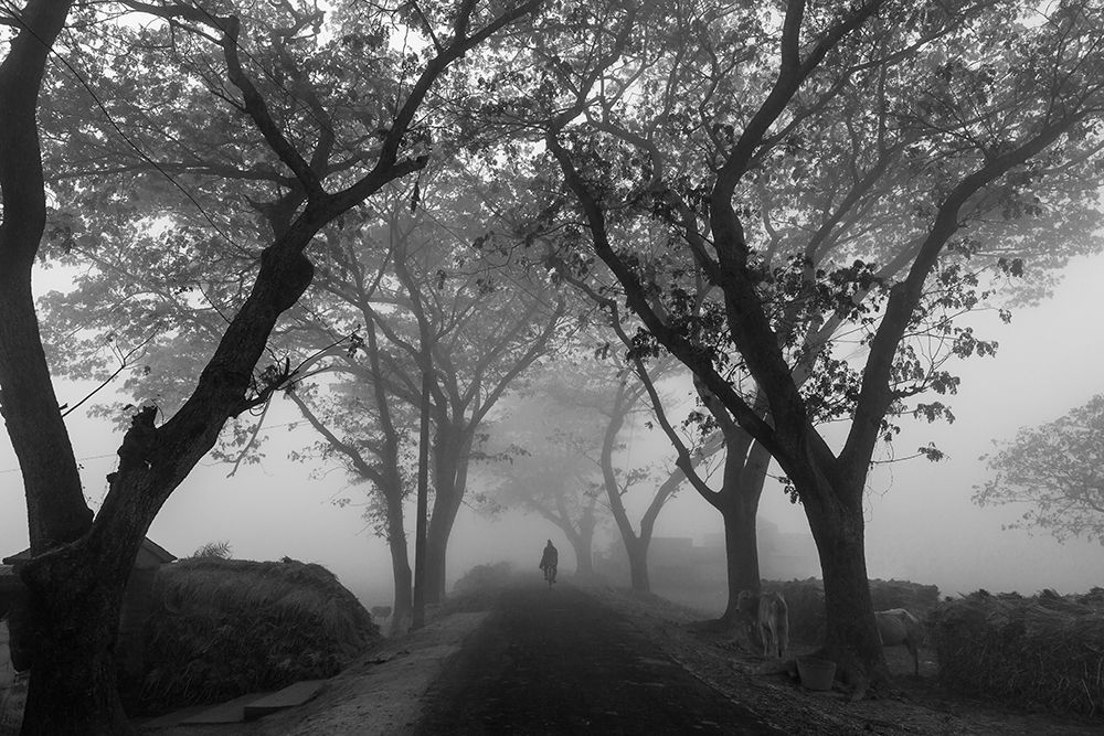 Village road in morning fog art print by Souvik Banerjee for $57.95 CAD