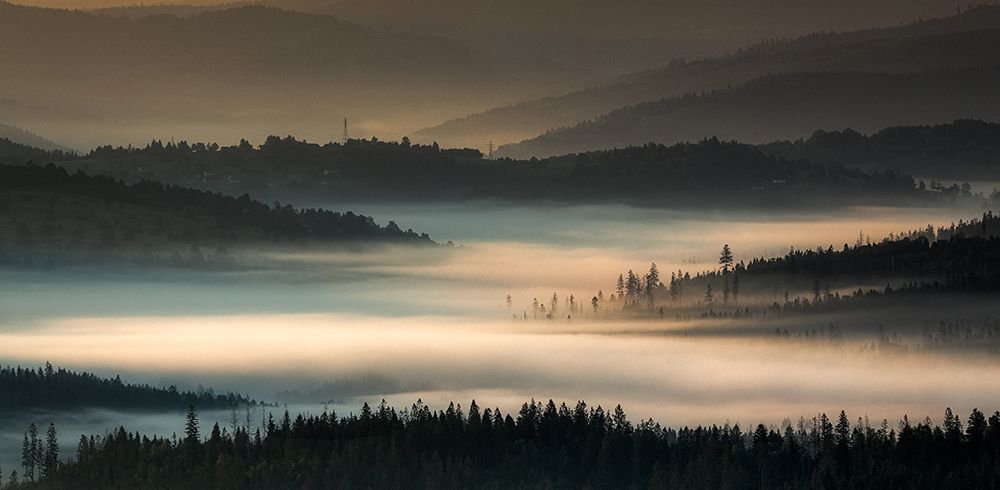 Magic of mists. art print by Slawomir Kowalczyk for $57.95 CAD