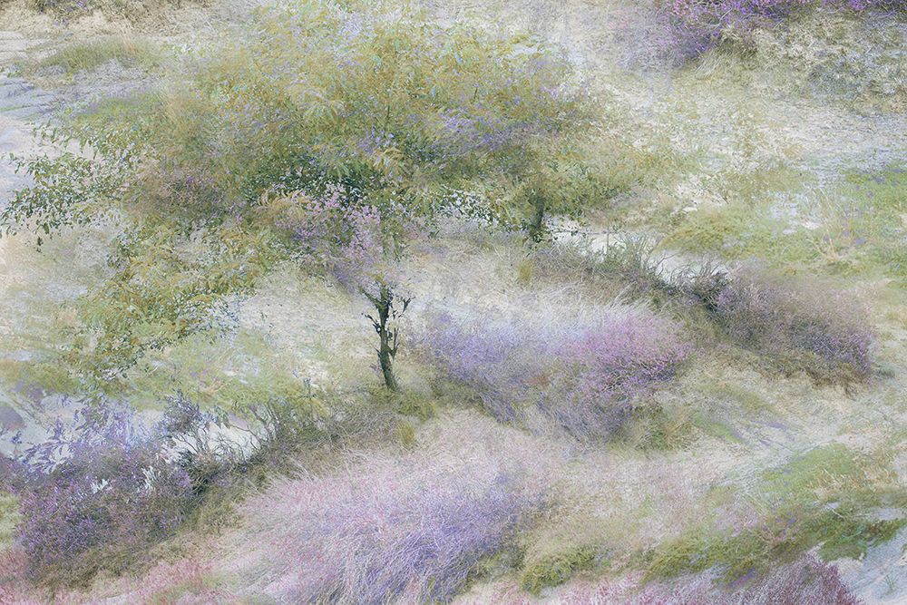 Flowering Heather art print by Nel Talen for $57.95 CAD