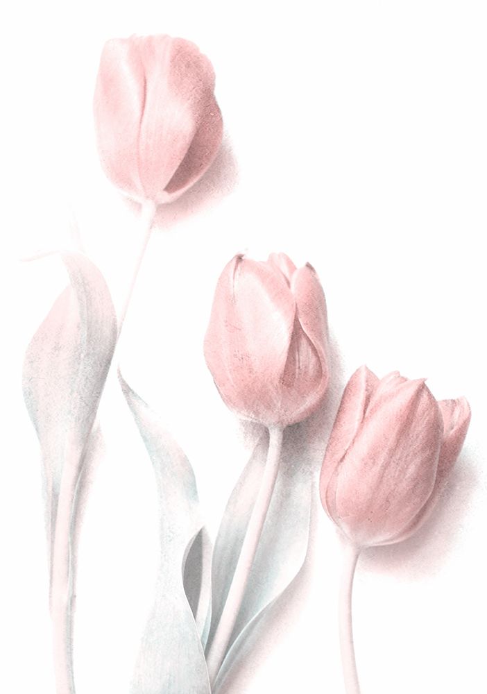 Sweet Pink art print by Delphine Devos for $57.95 CAD